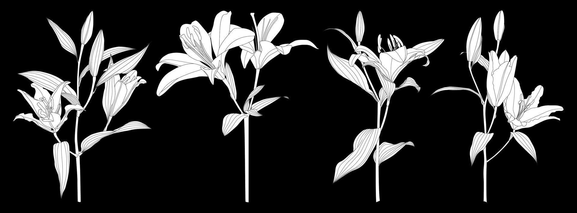 set van geïsoleerde silhouet lelie bloem vector