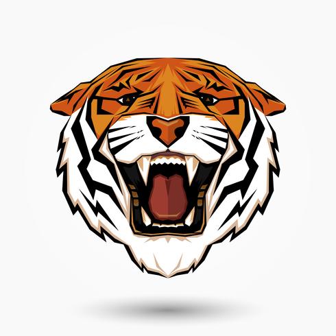 Angry Tiger hoofd vector