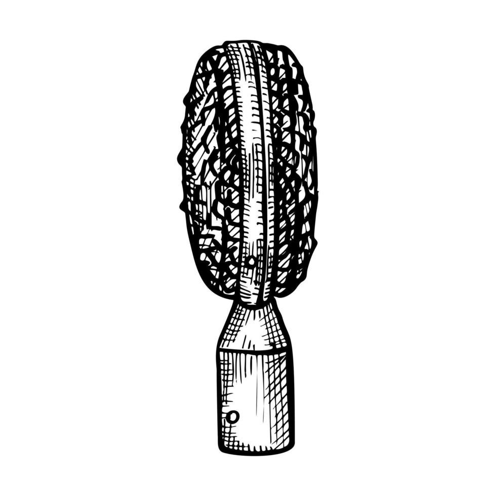 retro microfoon schets geïsoleerd. muziekapparatuur voor spraak in handgetekende stijl. vector