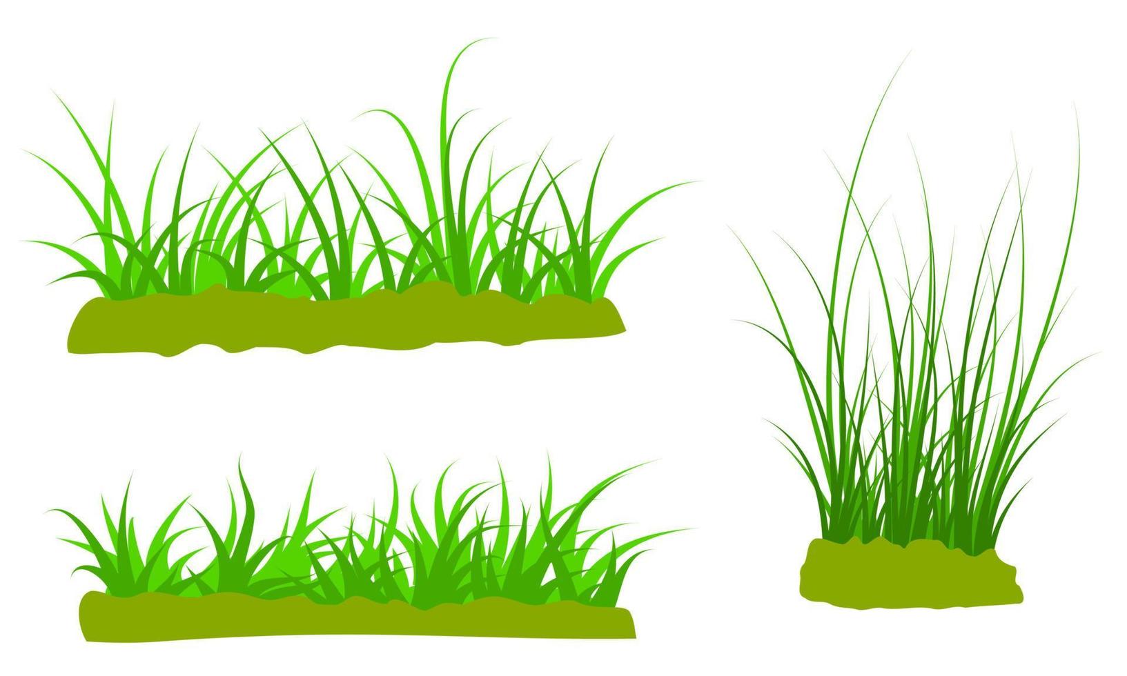 vector groen gras geïsoleerd op een witte achtergrond