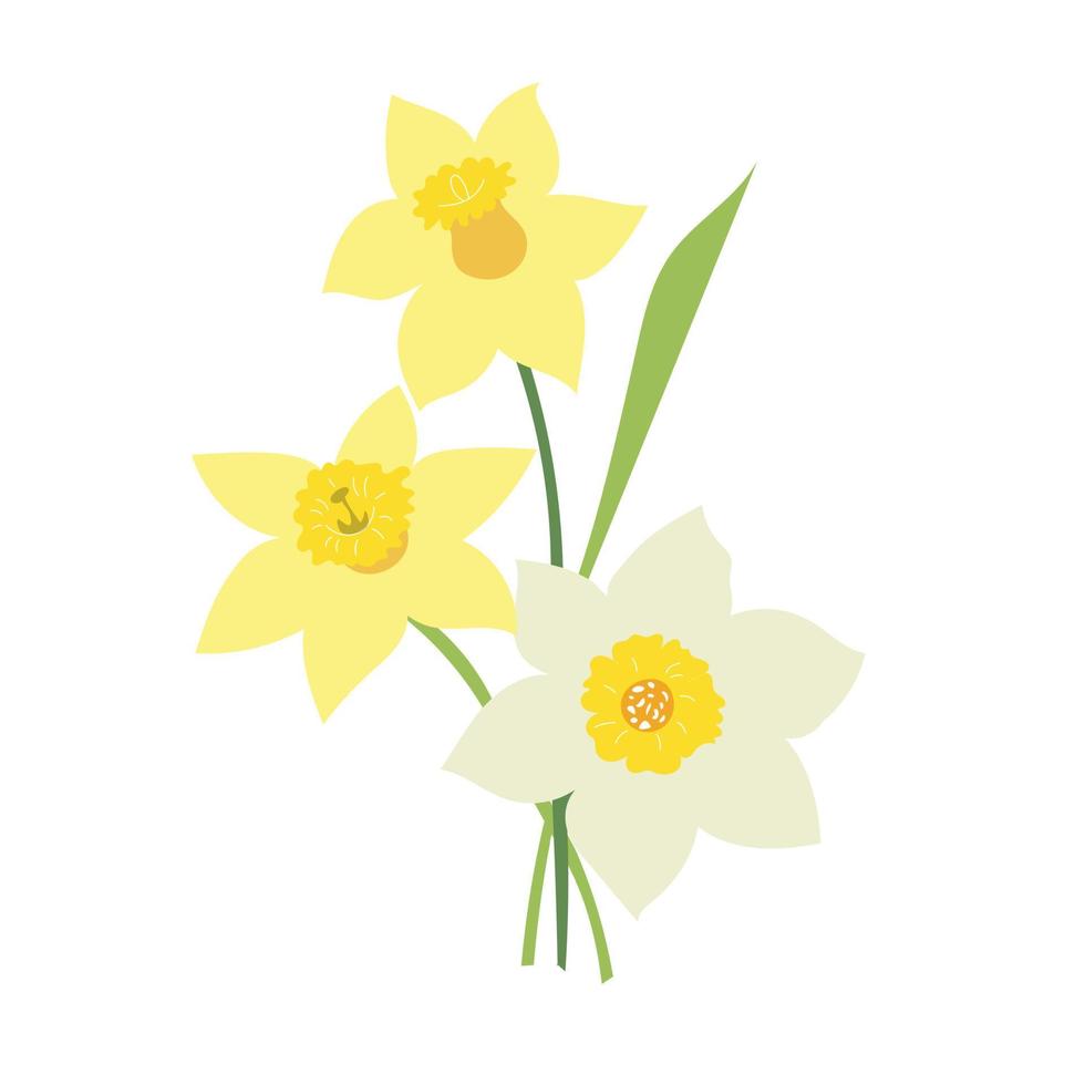 narcissen bloemen geïsoleerd op een witte achtergrond vector