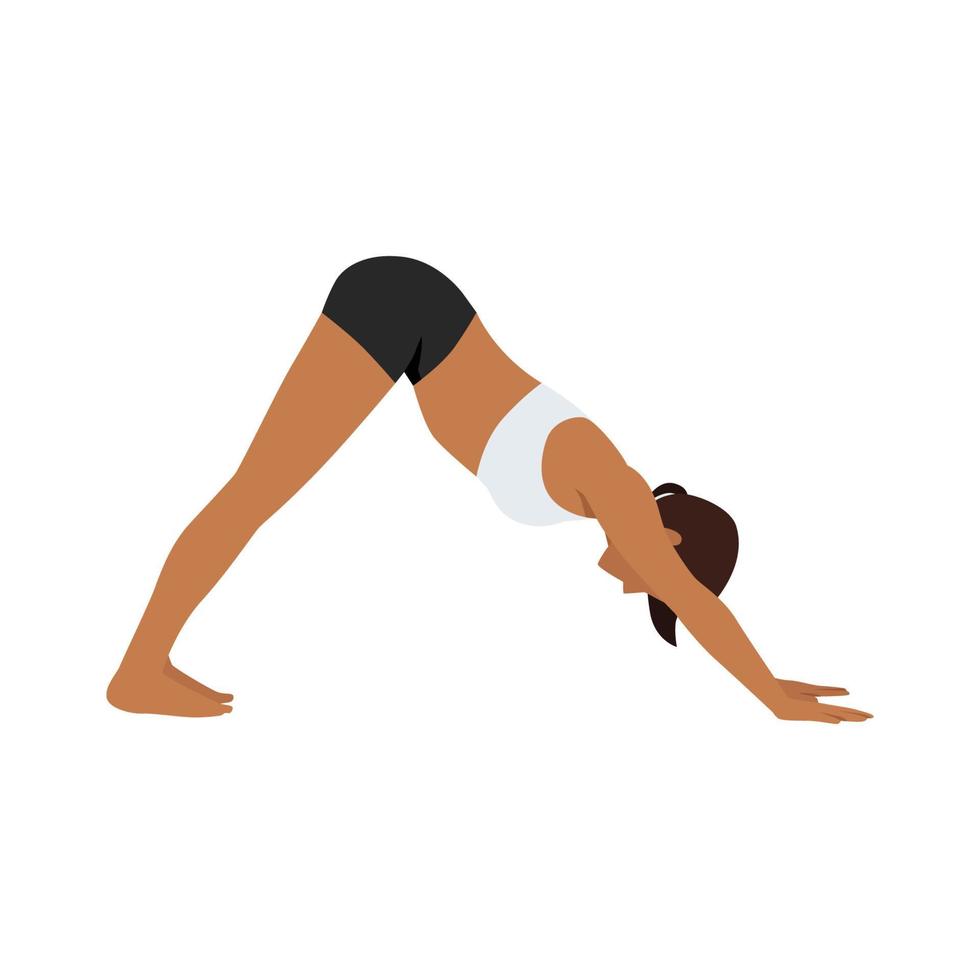 vrouw doet adho mukha svanasana of naar beneden gerichte hond yoga pose, vectorillustratie in trendy stijl vector