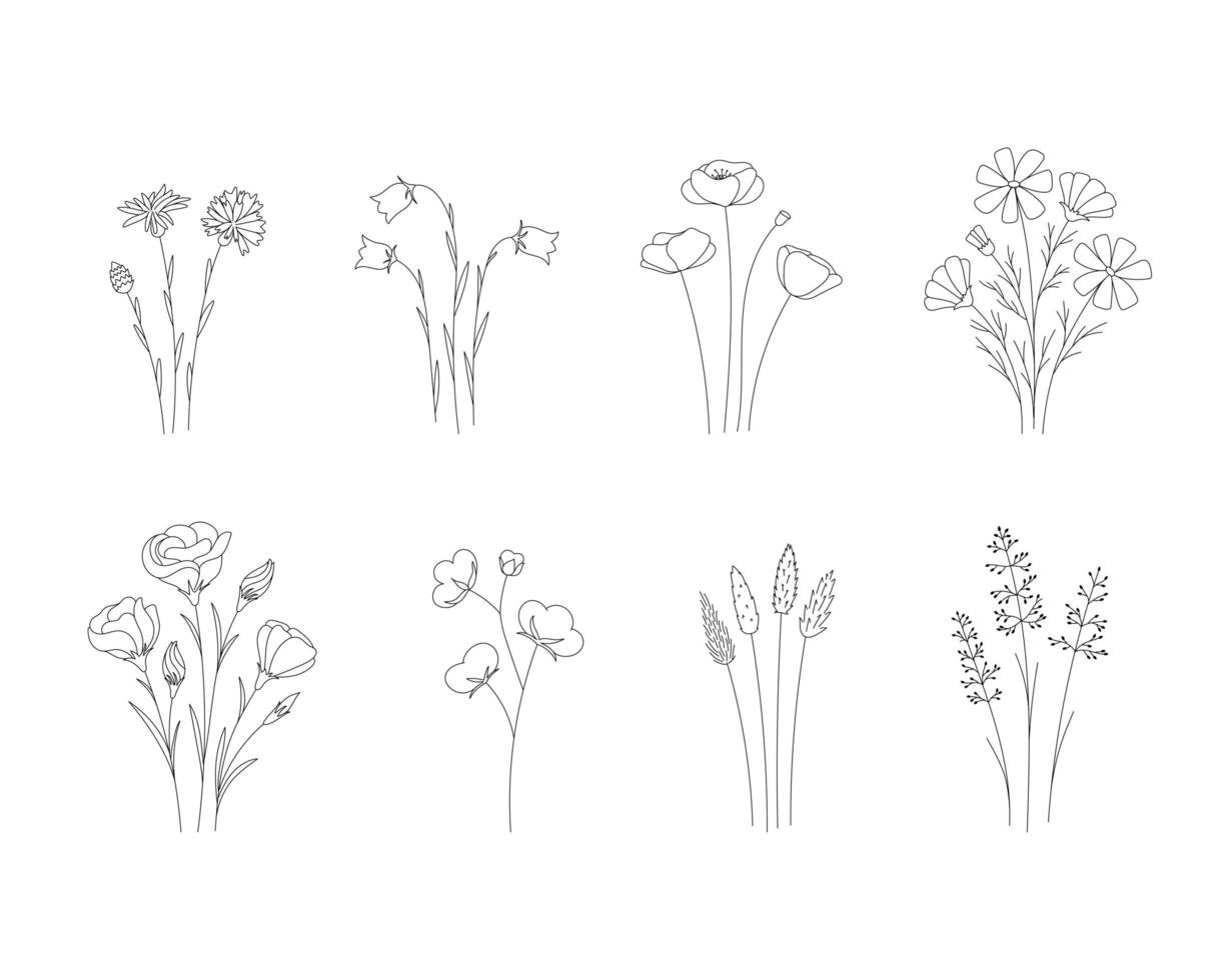 stel doodle wilde bloemen in. zwart-wit met lijntekeningen vector