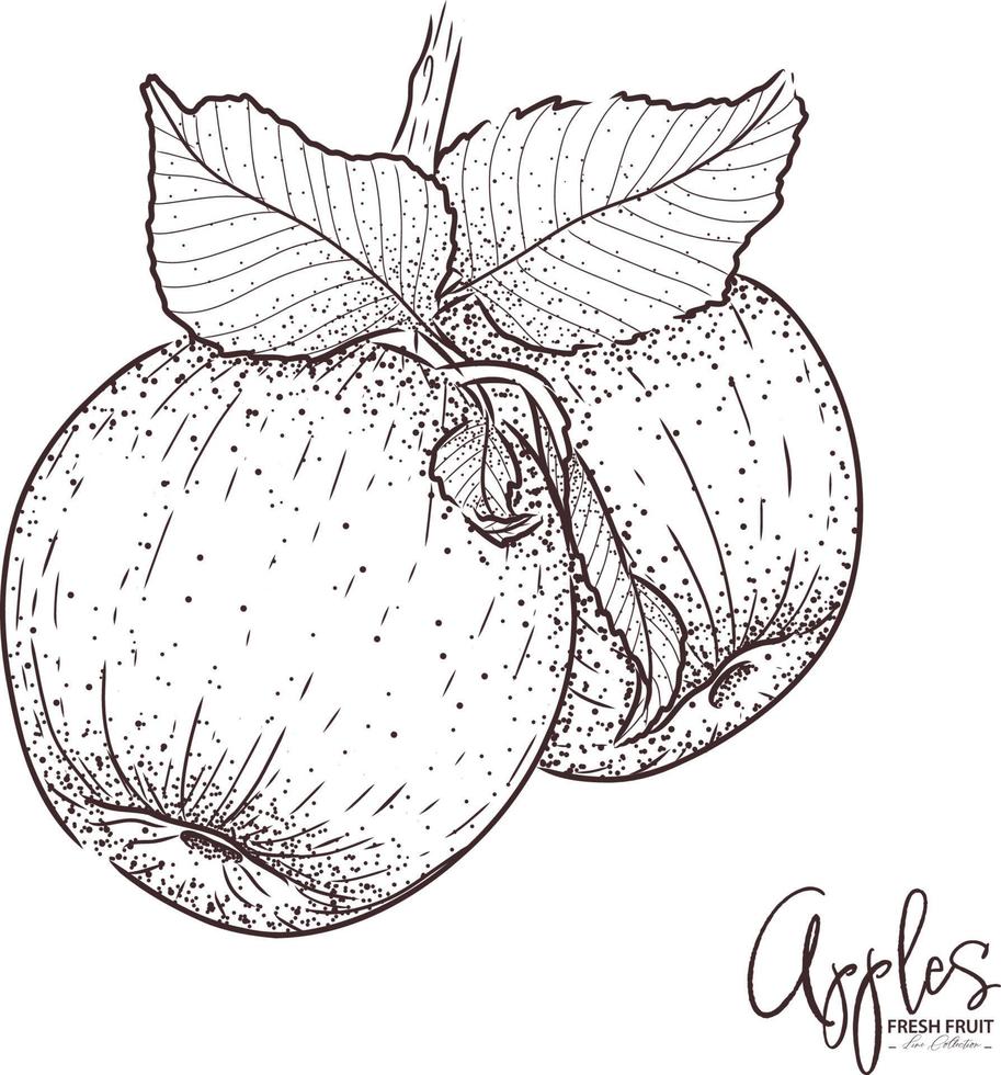 appel illustratie vers fruit tekening. hand getekende vintage vector