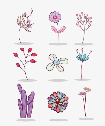 Set van bloemen vector