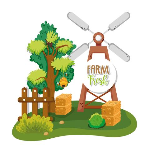 Farm verse cartoons vector