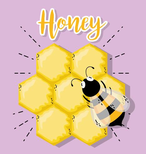 Boerderij verse honing vector