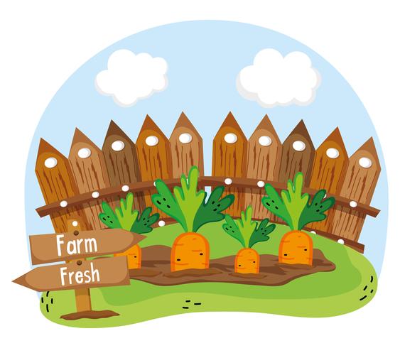 Farm verse cartoons vector