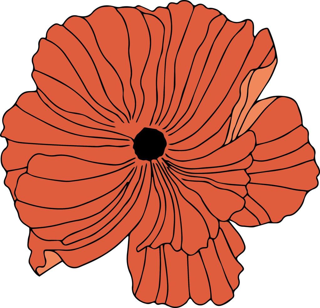 vector patronen van papaver bloemen met bladeren. botanische illustratie voor behang, textiel, stof, kleding, papier, ansichtkaarten