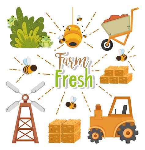 Farm verse cartoons vector