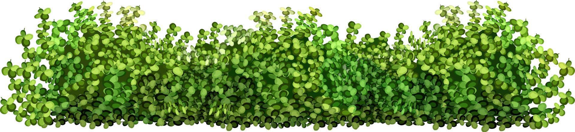 vectorillustratie van groene struiken. vector