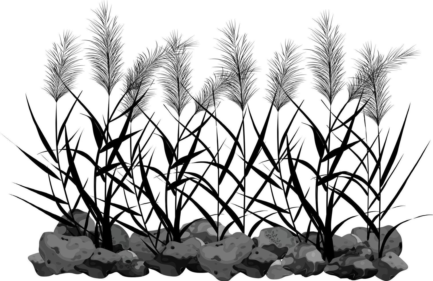 met de hand getekend riet of pampagras omgeven door grijze stenen. riet silhouet op witte achtergrond. rand of frame van groene planten. vector