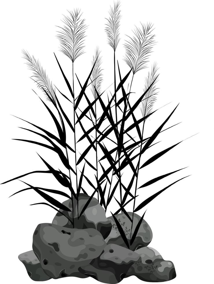 met de hand getekend riet of pampagras omgeven door grijze stenen. riet silhouet op witte achtergrond. rand of frame van groene planten. vector