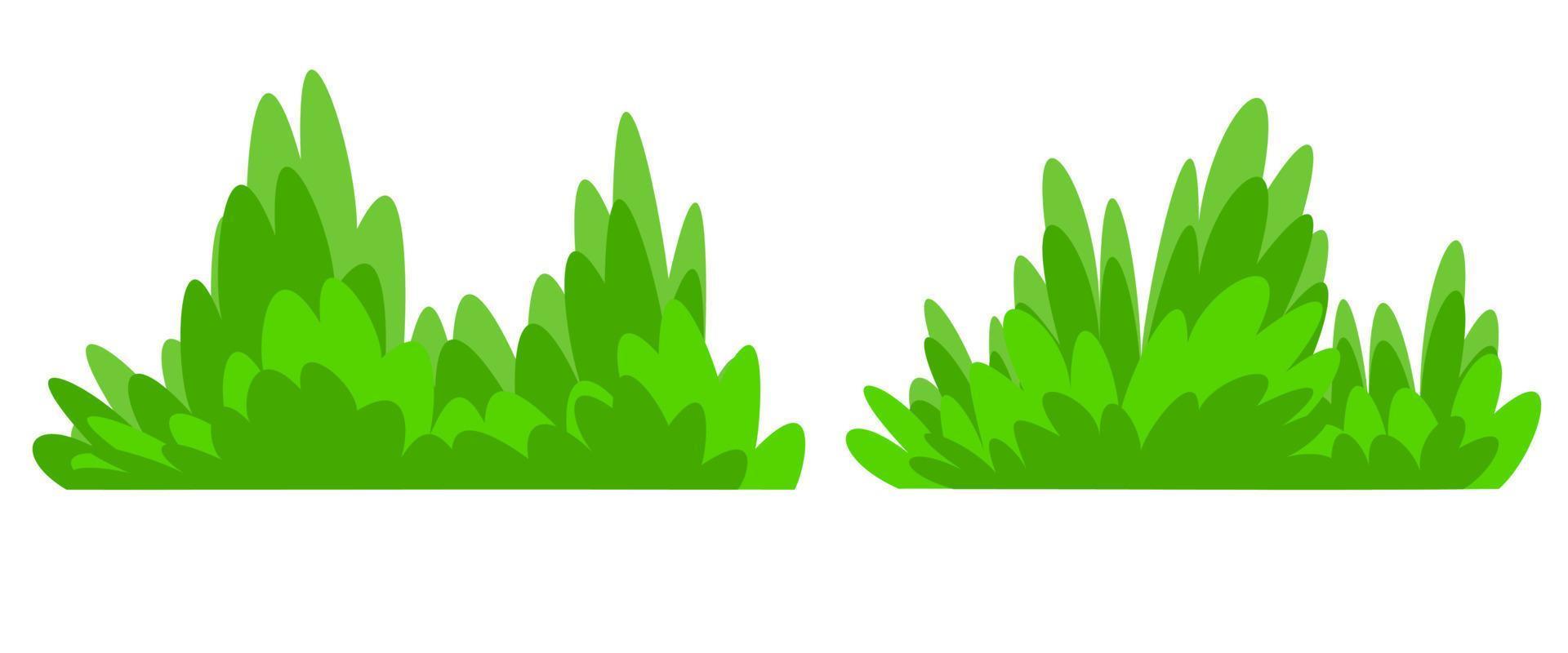 groene struik geïsoleerd op witte achtergrond vector