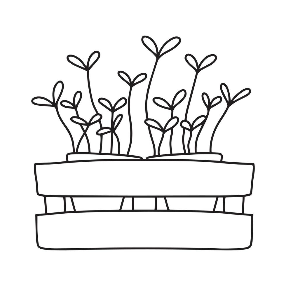 pot met microgroenten. microgreens erwten, radijs, ui, rucola. zonnebloem, bieten en anderen. vectorillustratie geïsoleerd op een witte achtergrond. doodle stijl. vector