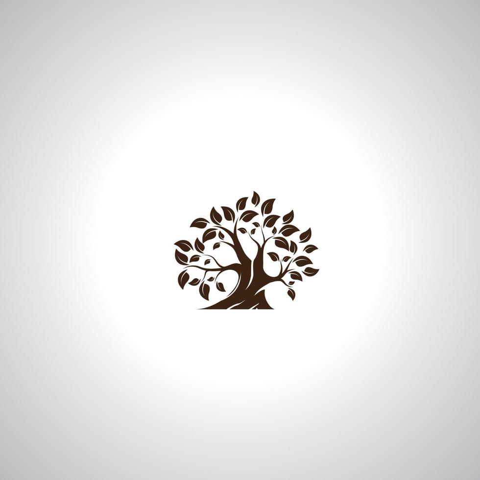 boom logo ontwerp vector