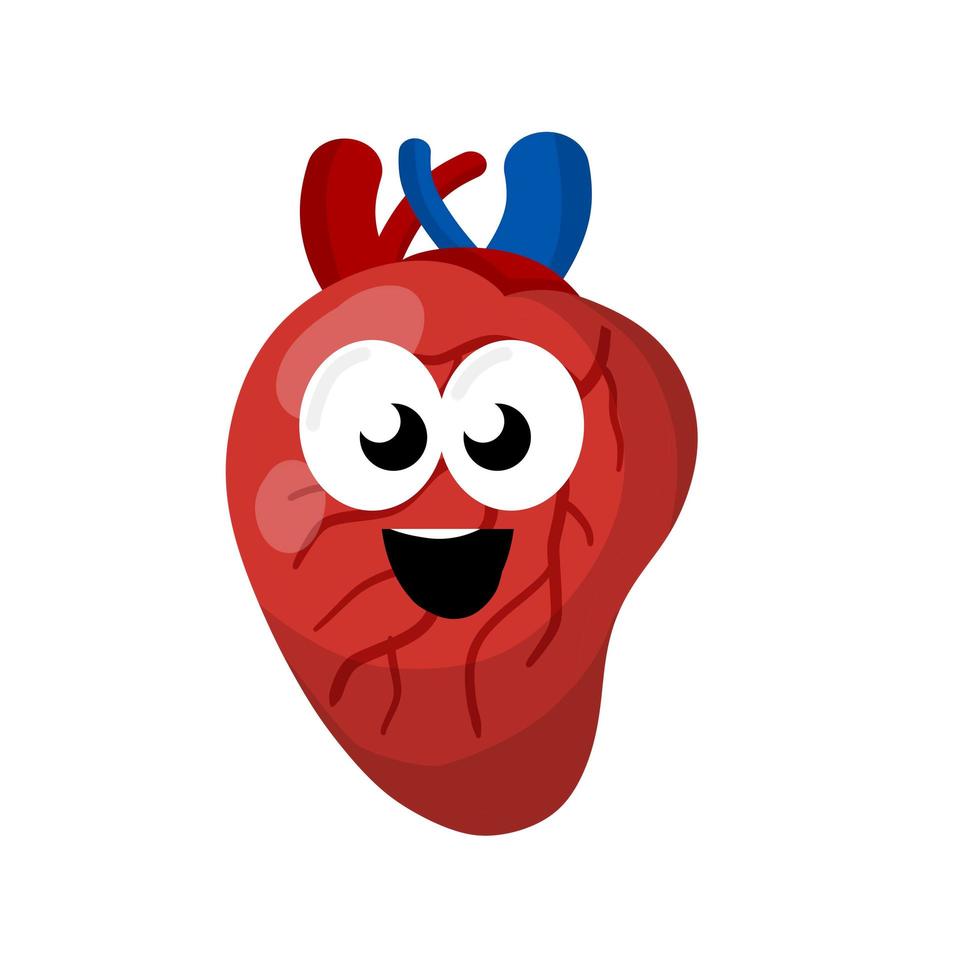 hart. menselijk inwendig orgaan. geneeskunde en cardiologie. vector