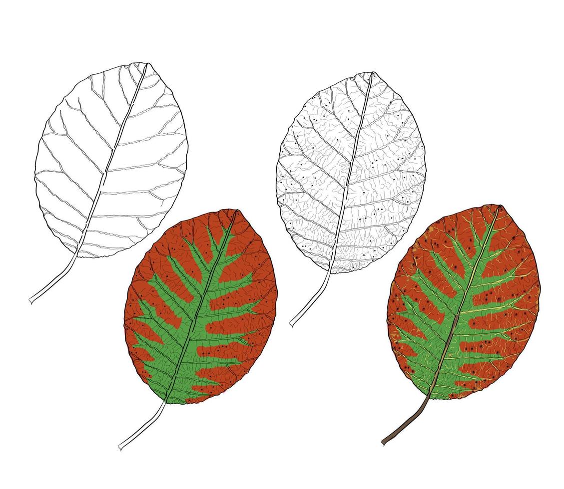 groene blad natuur element vector. vector