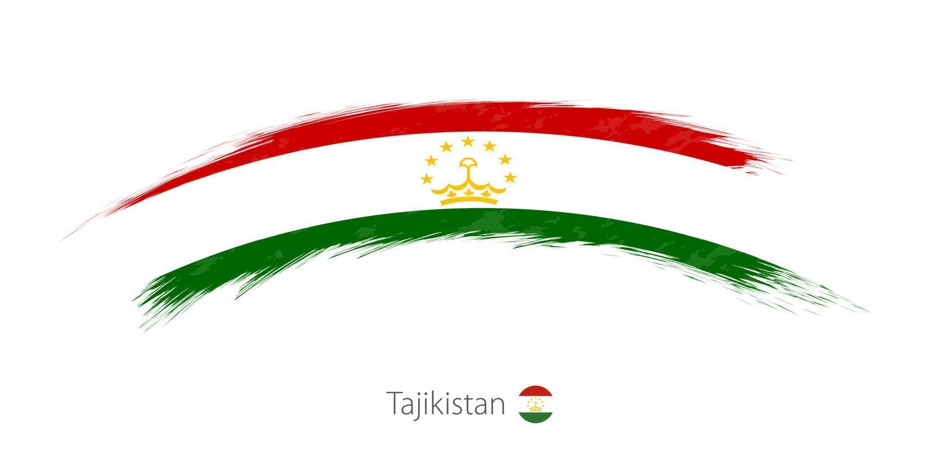 vlag van Tadzjikistan in afgeronde grunge penseelstreek. vector