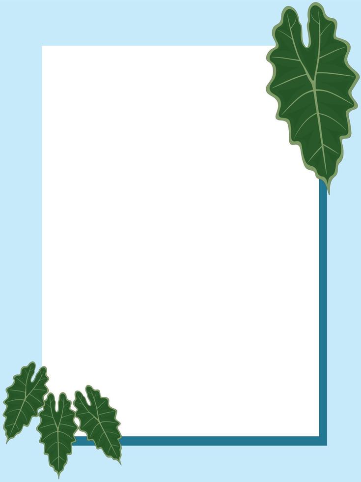 lichtblauwe kleur achtergrond met rechthoekig frame en alocasia bladeren vectorillustratie vector