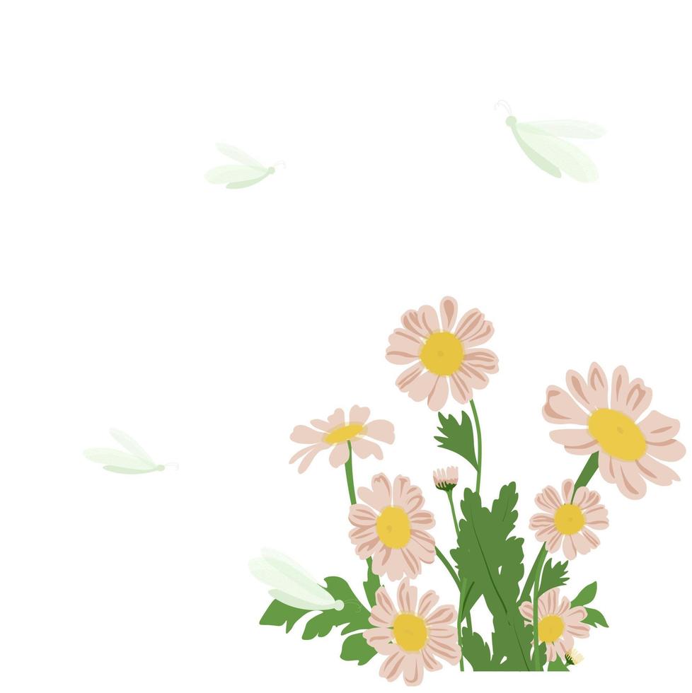 madeliefjes van dichtbij. vlinders die over bloemen vliegen. motten met vleugels. vector voorraad illustratie. een ansichtkaartsjabloon voor een meisje. geïsoleerd op een witte achtergrond.