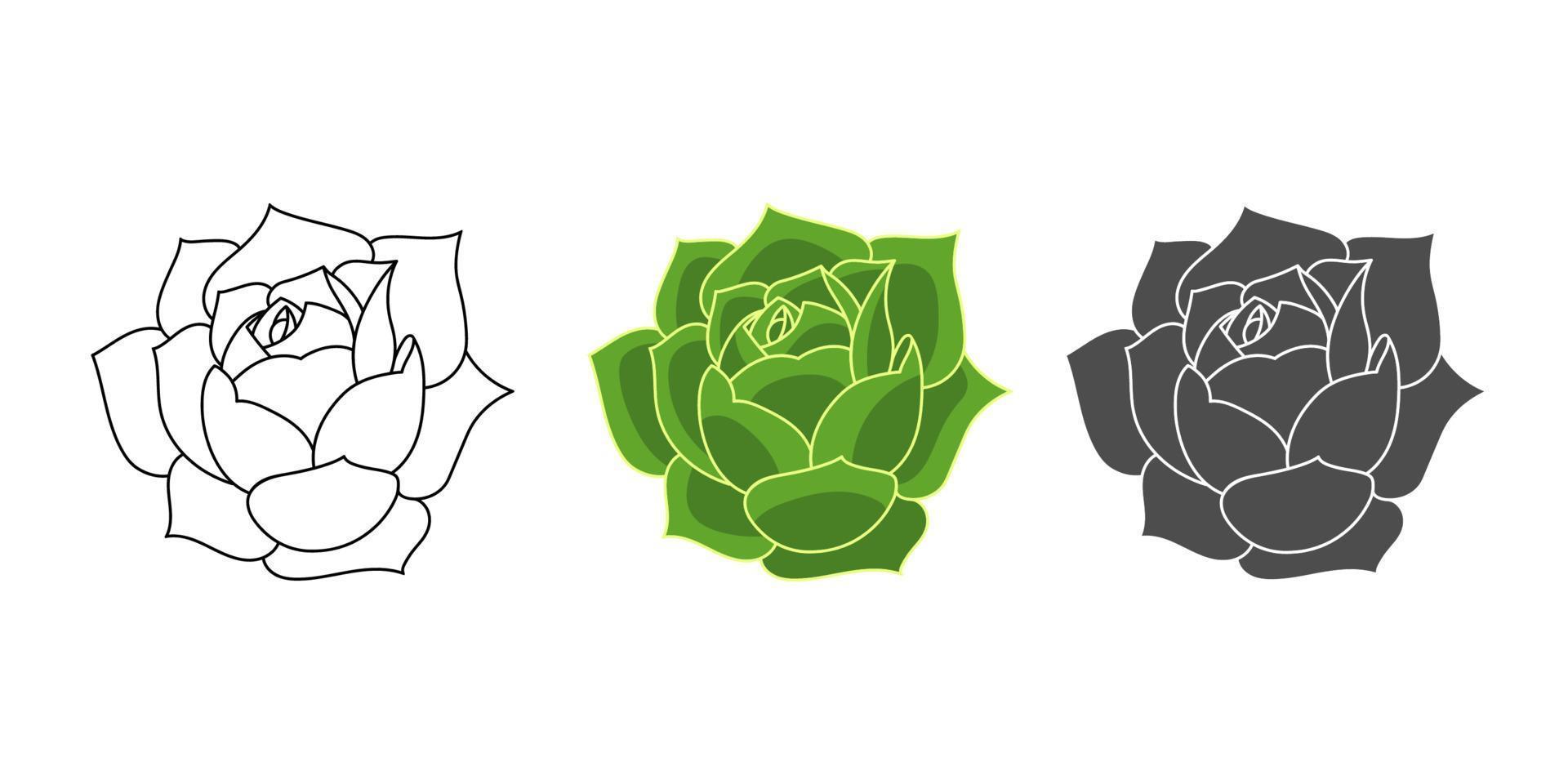 set succulente echeveria greenovia - kleur groen, doodle, eenvoudig. collectie geïsoleerd element op een witte achtergrond. huisplant voor print en design. vector