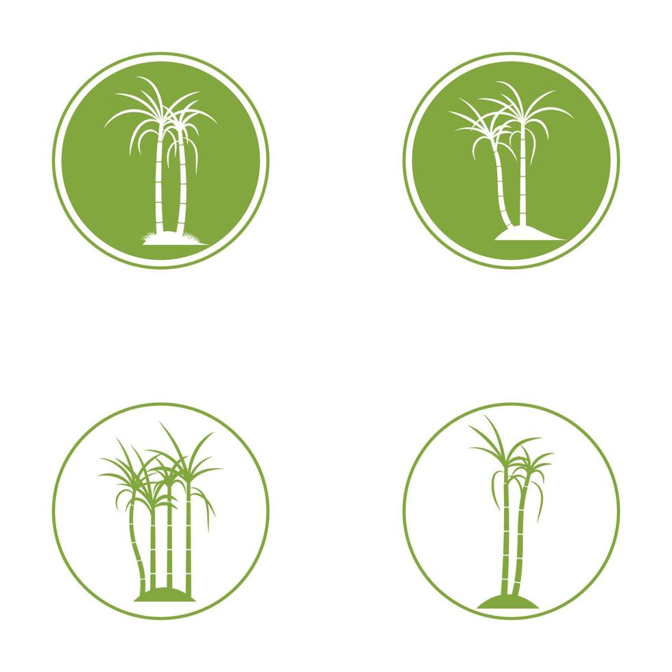 suikerriet plant logo vector illustratie ontwerp