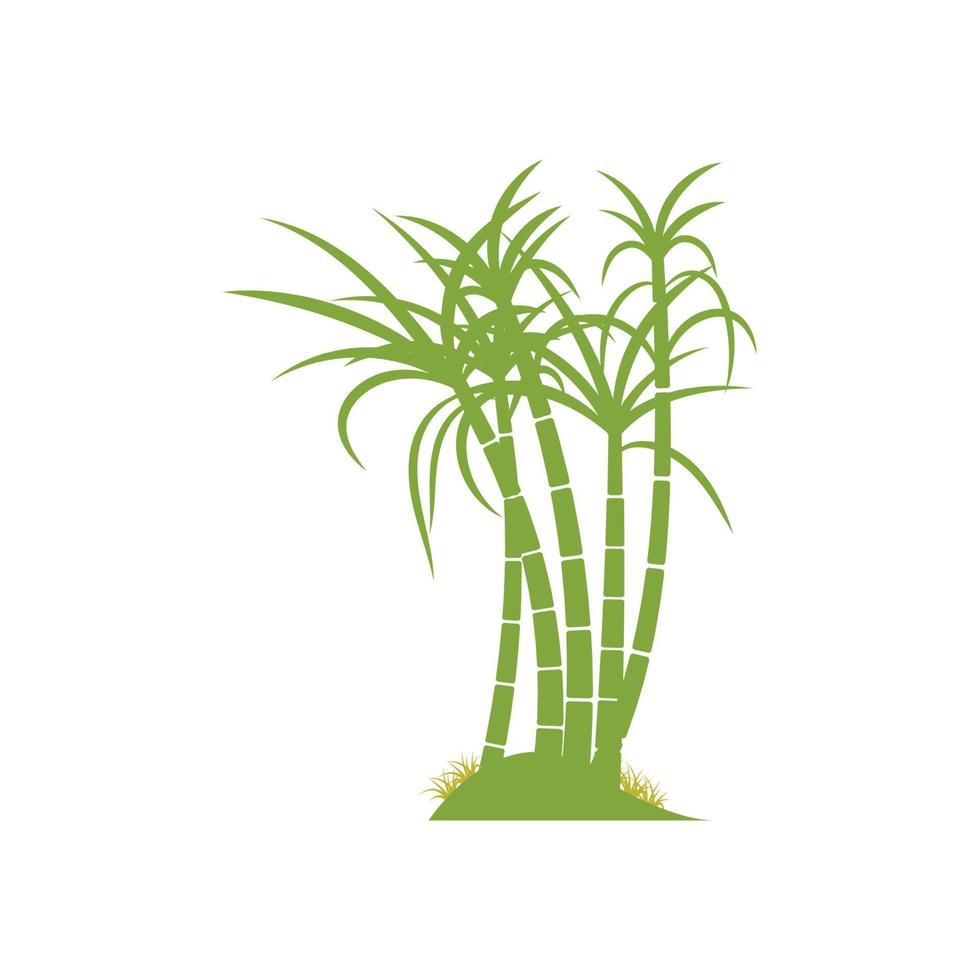 suikerriet plant logo vector illustratie ontwerp