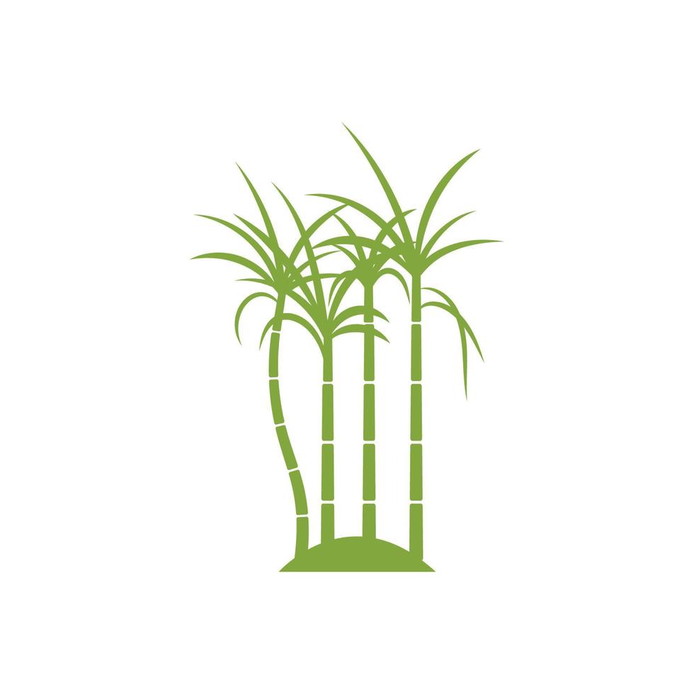 suikerriet plant logo vector illustratie ontwerp