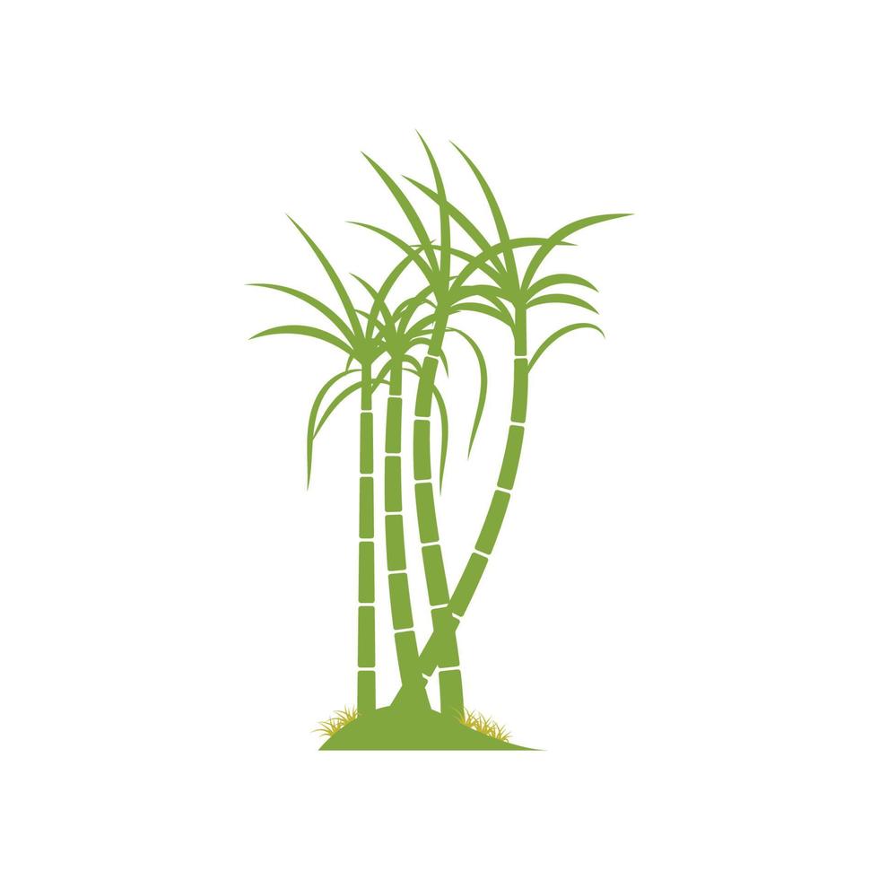 suikerriet plant logo vector illustratie ontwerp