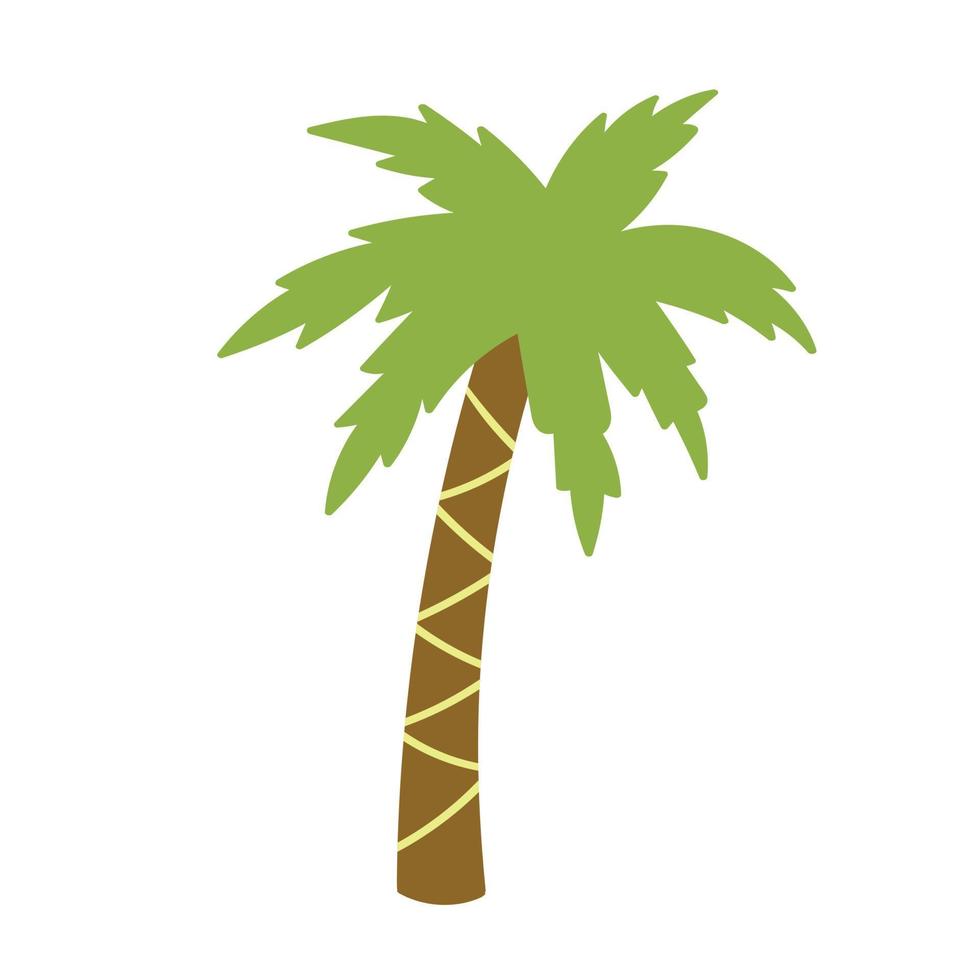 palmboom handgetekende vector