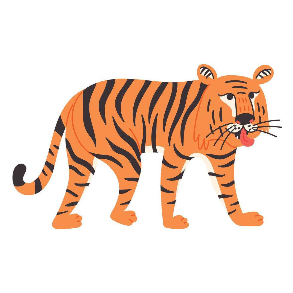 chinese tijger laat zijn tong zien vector