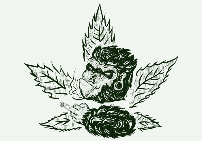 gorilla cannabis handgetekend vector