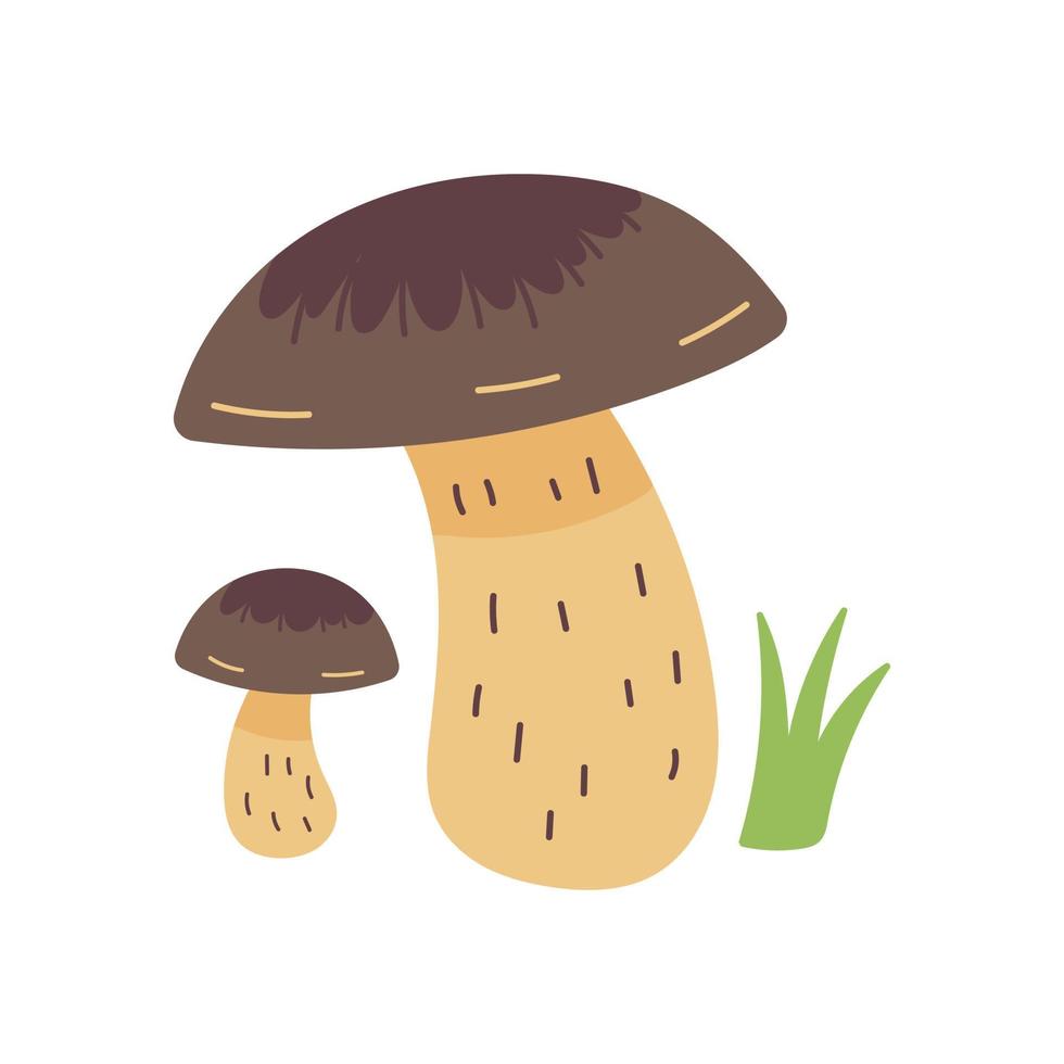 vector witte champignons