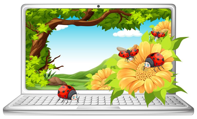 Lieveheersbeestjes in tuin op computerscherm vector