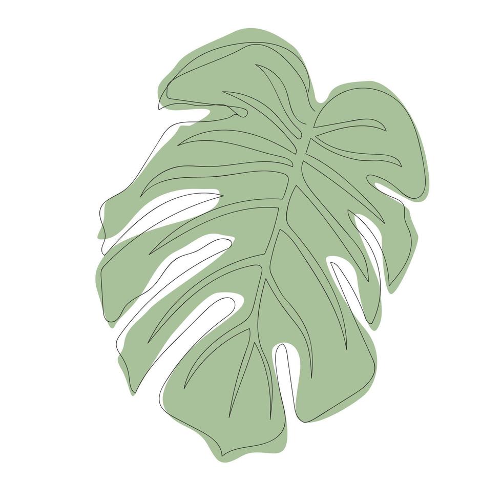 monsterablad - één lijntekening. doorlopende lijn exotische plant. handgetekende minimalistische illustratie, vector. vector