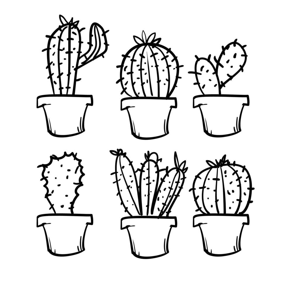 doodle exotische cactussen planten zomer woestijn tropisch flora cartoon botanisch handgetekende cartoon stijl vector