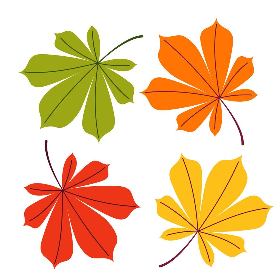 een set van herfst kastanje bladeren van verschillende kleuren op een witte geïsoleerde achtergrond. platte vectorillustratie. vector