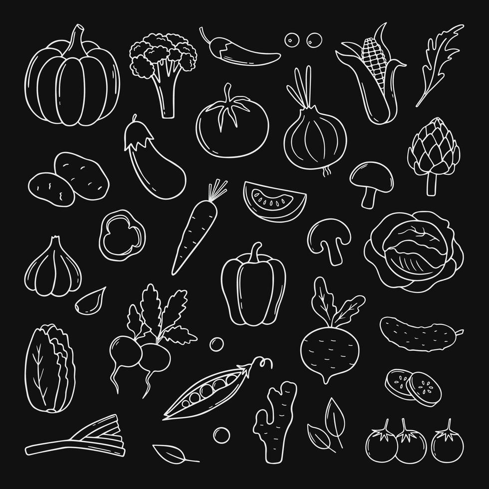 hand getekende set van groenten doodle. wortel, radijs, salade, komkommer, kool in schetsstijl. vectorillustratie geïsoleerd op zwarte achtergrond. vector