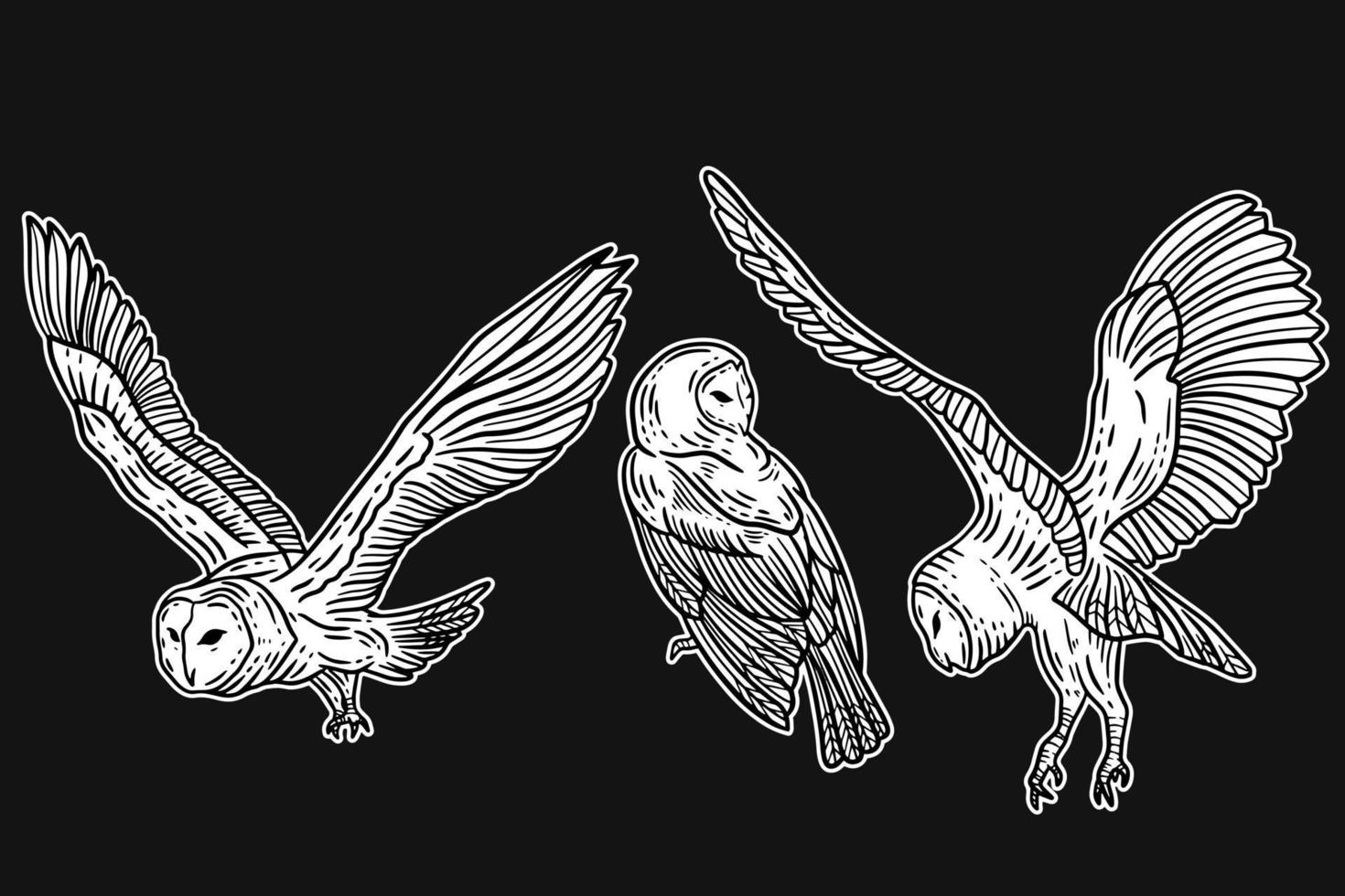 set uil vogel dieren hand getekend voor tatoeage en t-shirt kunst illustratie vector