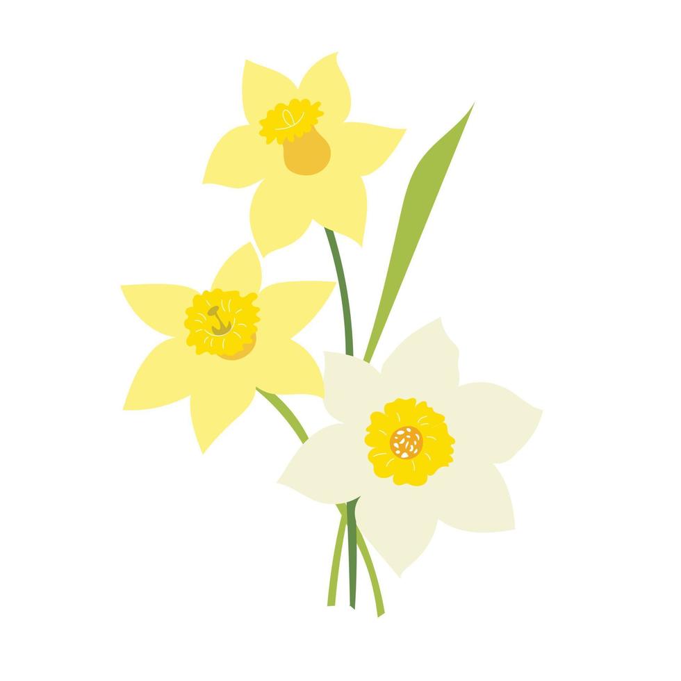 narcissen bloemen geïsoleerd op een witte achtergrond vector