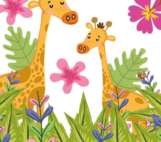 Leuke giraffen wildlife schattige tekenfilms vector