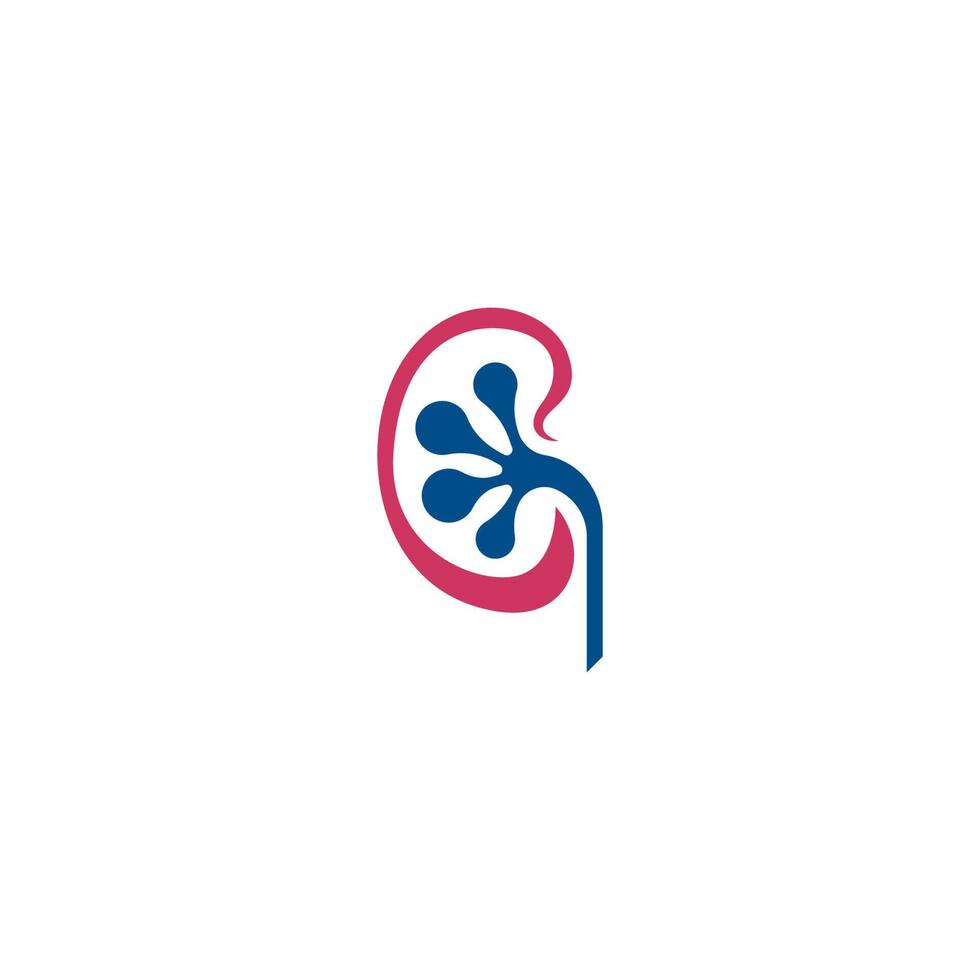 urologie logo, nier logo pictogram gezond sjabloon vector