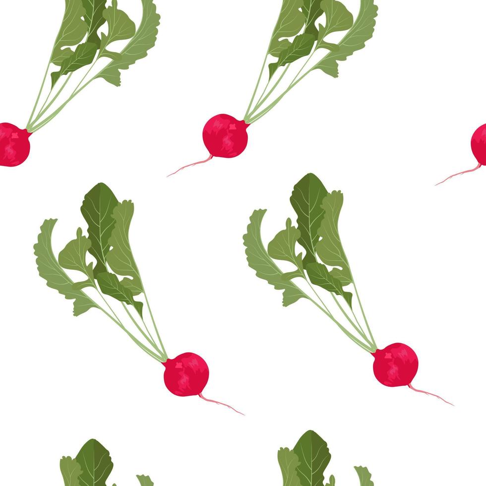 rode radijs vector stock illustratie. naadloos patroon. groente met groene bladeren. knolgewas. salade dressing. voor inpakpapier. ideaal voor behang, oppervlaktestructuren, textiel.