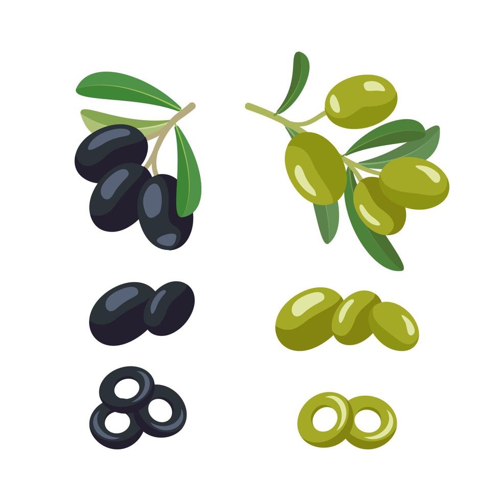 set van groene en zwarte olijven takken met fruit en bladeren. Grieks traditioneel eten. platte vectorillustratie vector