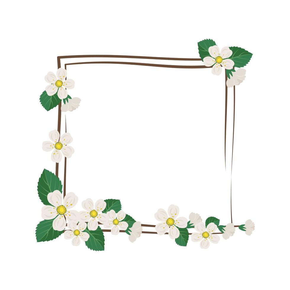 vierkante krans van kers of appel. frame met witte bloemen. lente bloeiende compositie met knoppen en bladeren. feestelijke decoratie voor bruiloft, vakantie, ansichtkaart en design. platte vectorillustratie vector