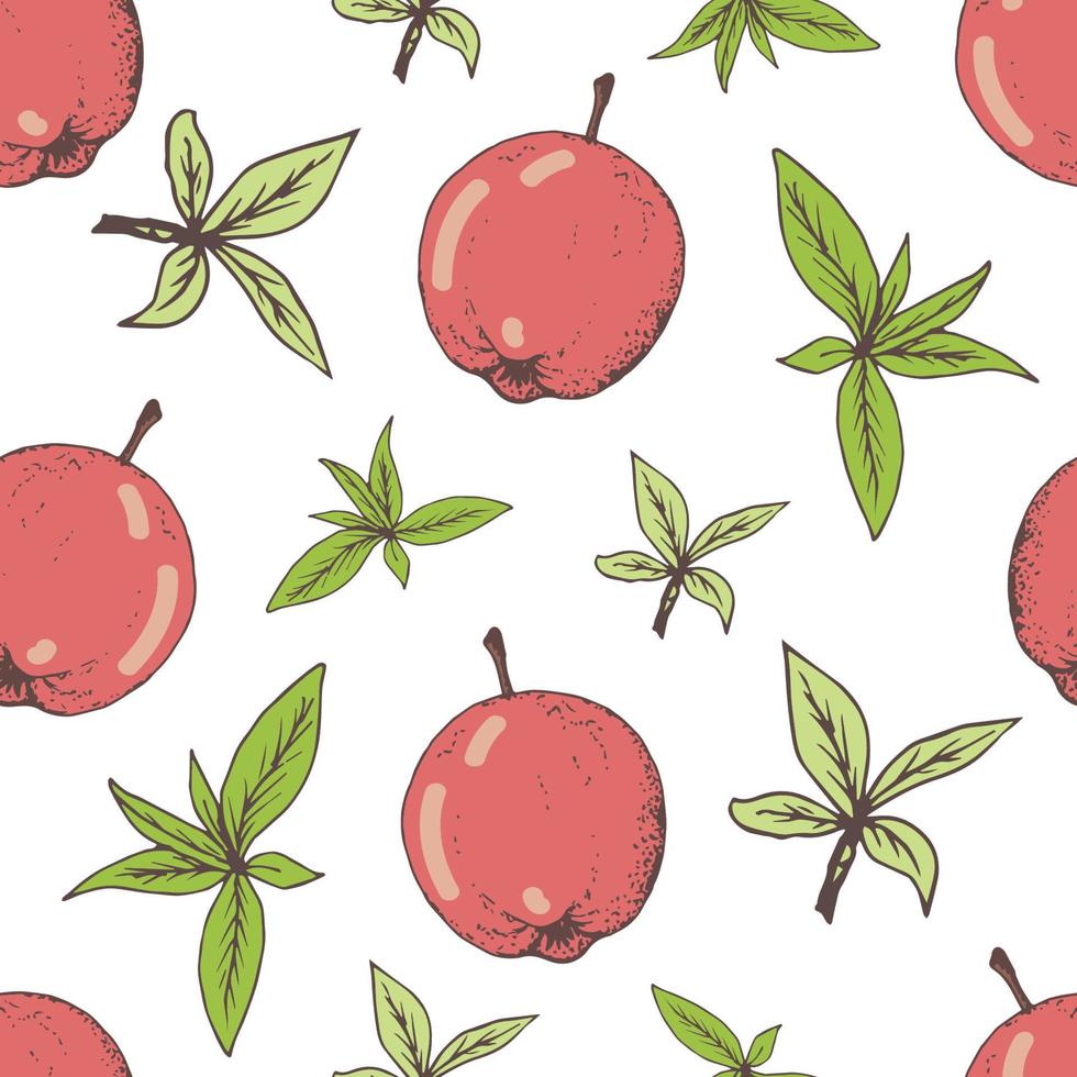 handgetekende naadloze vector patroon. rood-roze appels, groene bladeren op een witte achtergrond. zomerseizoen, oogst, biologisch product, tuinfruit. voor prints van stof, keukentextiel, verpakkingen, doek