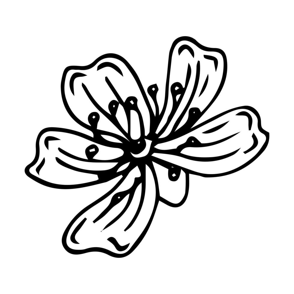 schattig met de hand getekend enkel sakura-element. traditionele japanse of chinese lentebloem in inktstijl. doodle kersenplant. vector