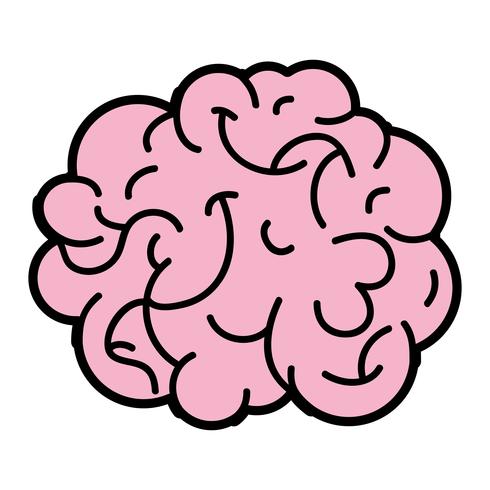 menselijk brein anatomie tot creatief en intellect vector