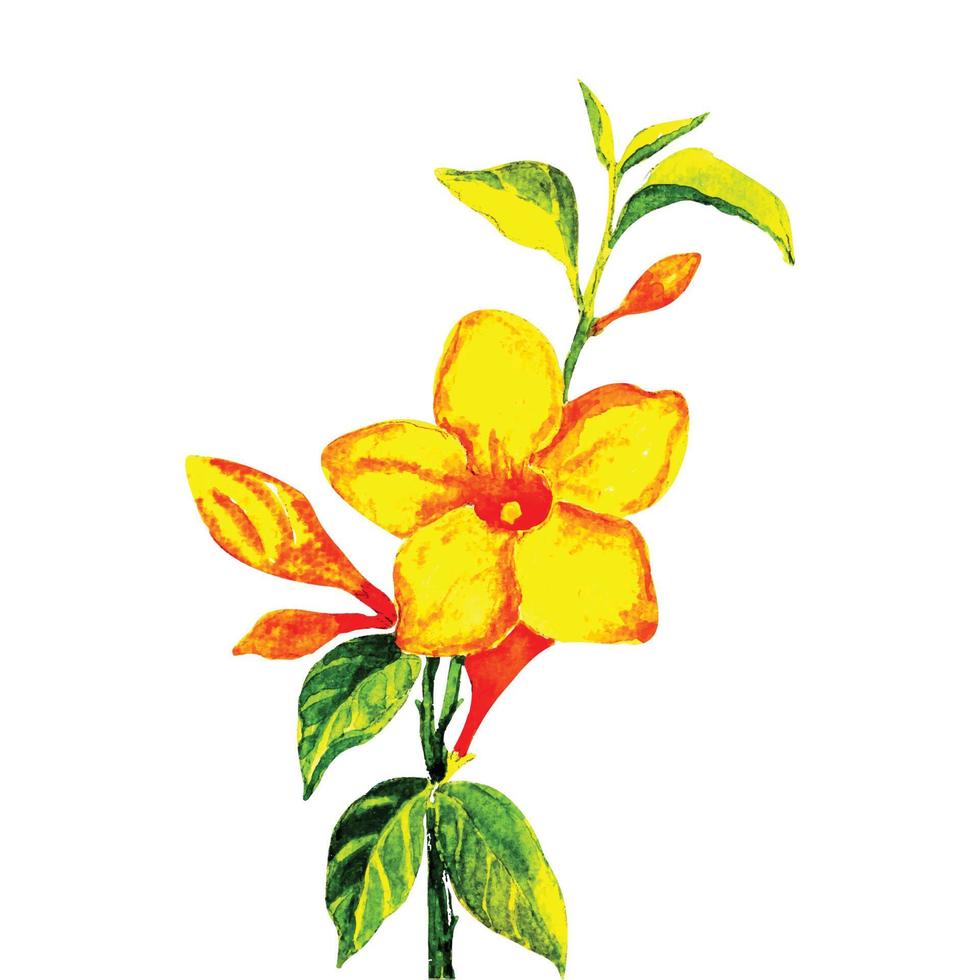 gele allamanda aquarel illustratie van tropische bloem vector